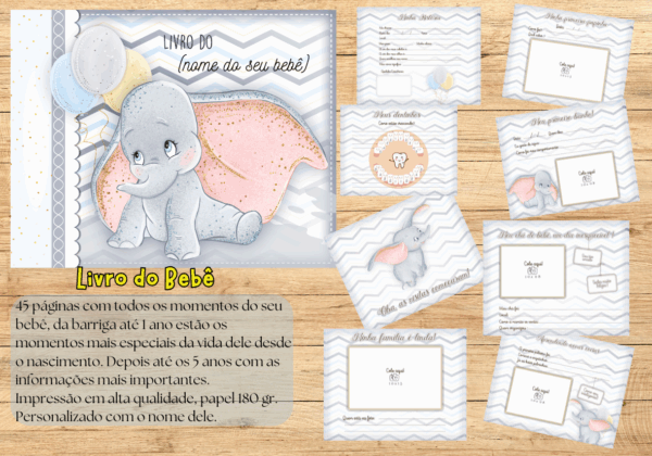 Livro do bebê